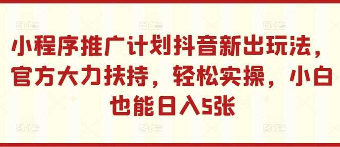 小程序推广计划抖音新出玩法，官方大力扶持，轻松实操，小白也能日入5张【揭秘】-玩备项目资源网