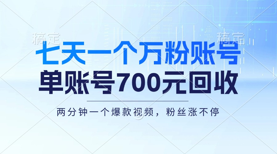 （13062期）七天一个万粉账号，新手小白秒上手，单账号回收700元，轻松月入三万＋-玩备项目资源网