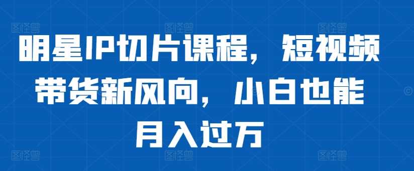 明星IP切片课程，短视频带货新风向，小白也能月入过万-玩备项目资源网