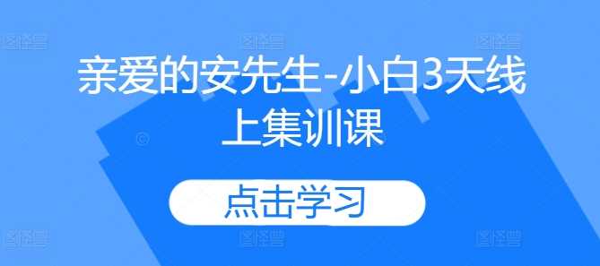 亲爱的安先生-小白3天线上集训课-玩备项目资源网