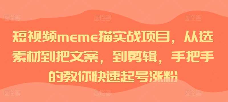 短视频meme猫实战项目，从选素材到把文案，到剪辑，手把手的教你快速起号涨粉-玩备项目资源网