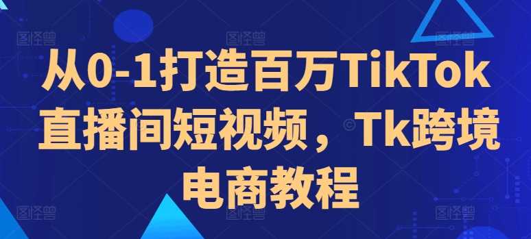 从0-1打造百万TikTok直播间短视频，Tk跨境电商教程-玩备项目资源网