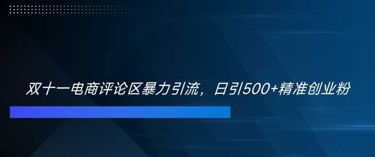 双十一电商评论区暴力引流，日引500+精准创业粉【揭秘】-玩备项目资源网