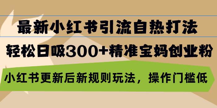 （13145期）最新小红书引流自热打法，轻松日吸300+精准宝妈创业粉，小红书更新后新…-玩备项目资源网