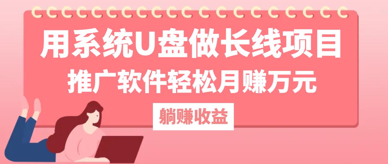 用系统U盘做长线项目，推广软件轻松月赚万元-玩备项目资源网