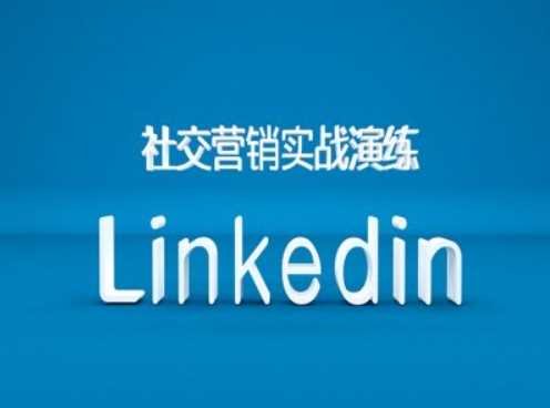 社交营销实战演练之Linkedin营销课程，B2B跨境外贸的新出路-玩备项目资源网