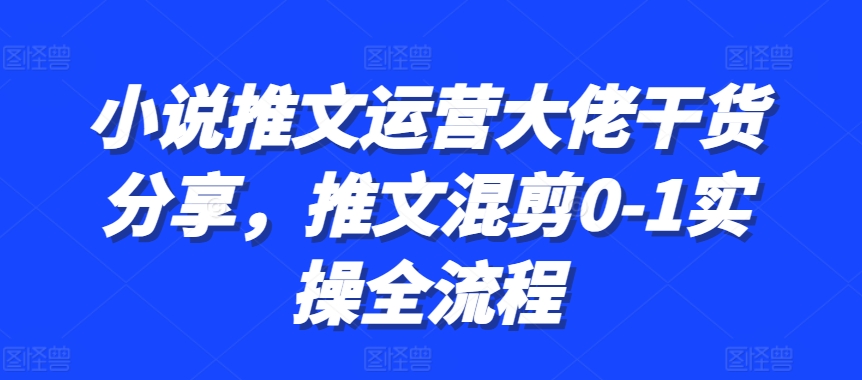 小说推文运营大佬干货分享，推文混剪0-1实操全流程-玩备项目资源网