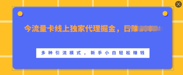 流量卡线上独家代理掘金，日入1k+ ，多种引流模式，新手小白轻松上手【揭秘】-玩备项目资源网