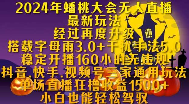 2024年蟠桃大会无人直播最新玩法，稳定开播160小时无违规，抖音、快手、视频号三家通用玩法【揭秘】-玩备项目资源网