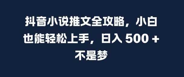 抖音小说推文全攻略，小白也能轻松上手，日入 5张+ 不是梦【揭秘】-玩备项目资源网