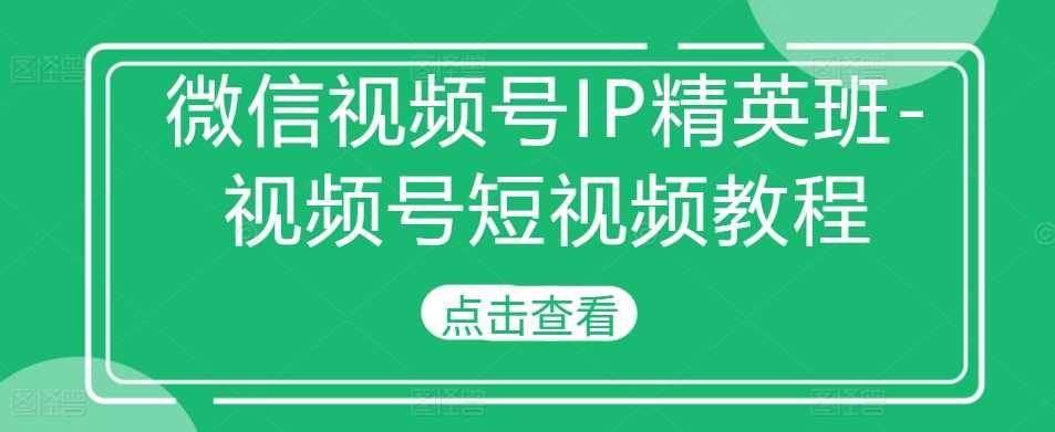 微信视频号IP精英班-视频号短视频教程-玩备项目资源网