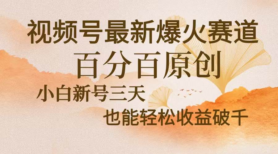 （13225期）视频号最新爆火赛道，中老年粉深信不疑，百分百原创，新号三天收益轻松…-玩备项目资源网