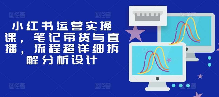 小红书运营实操课，笔记带货与直播，流程超详细拆解分析设计-玩备项目资源网