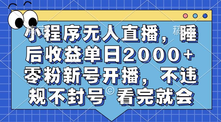 （13251期）小程序无人直播，睡后收益单日2000+ 零粉新号开播，不违规不封号 看完就会-玩备项目资源网