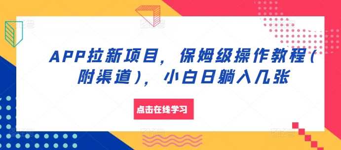 APP拉新项目，保姆级操作教程(附渠道)，小白日躺入几张【揭秘】-玩备项目资源网