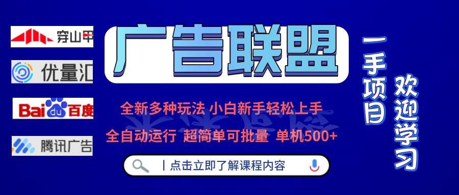 （13258期）广告联盟 全新多种玩法 单机500+  全自动运行  可批量运行-玩备项目资源网