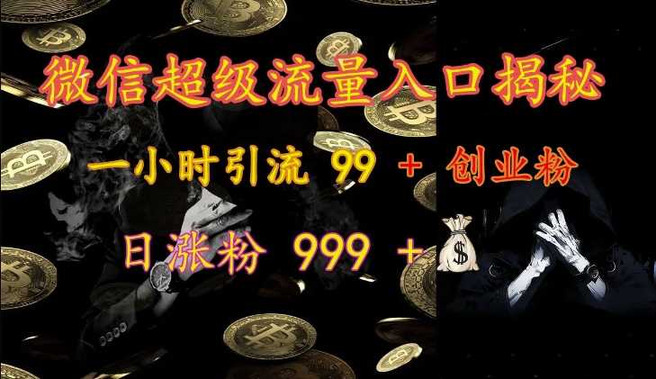 微信超级流量入口揭秘：一小时引流 99 + 创业粉，日涨粉 999 +-玩备项目资源网