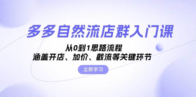 （13279期）多多自然流店群入门课，从0到1思路流程，涵盖开店、加价、截流等关键环节-玩备项目资源网