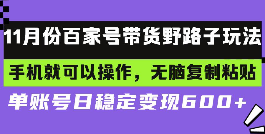（13281期）百家号带货野路子玩法 手机就可以操作，无脑复制粘贴 单账号日稳定变现…-玩备项目资源网