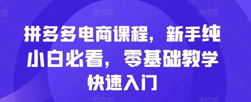 拼多多电商课程，新手纯小白必看，零基础教学快速入门-玩备项目资源网