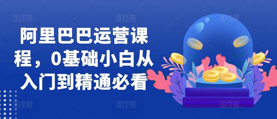 阿里巴巴运营课程，0基础小白从入门到精通必看-玩备项目资源网