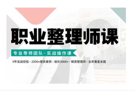 职业整理师培训(新版)，实战操作课-玩备项目资源网