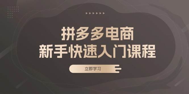 （13289期）拼多多电商新手快速入门课程：涵盖基础、实战与选款，助力小白轻松上手-玩备项目资源网