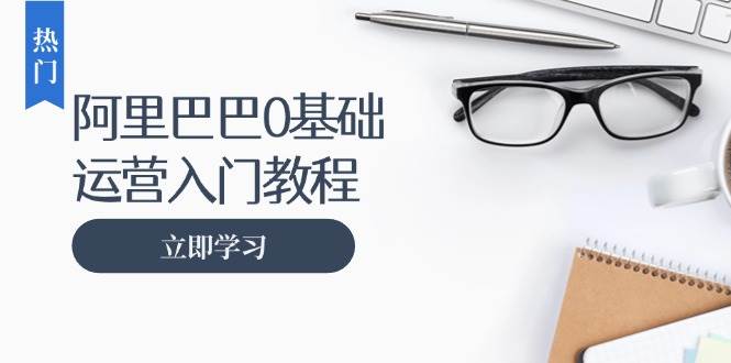 （13291期）阿里巴巴运营零基础入门教程：涵盖开店、运营、推广，快速成为电商高手-玩备项目资源网