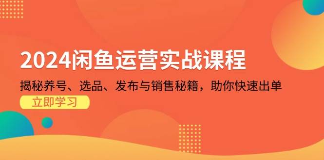 （13290期）2024闲鱼运营实战课程：揭秘养号、选品、发布与销售秘籍，助你快速出单-玩备项目资源网