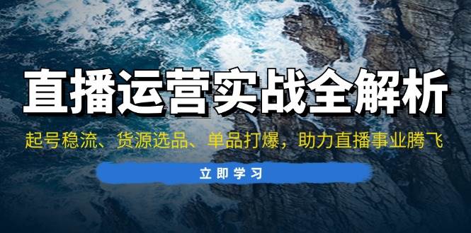 （13294期）直播运营实战全解析：起号稳流、货源选品、单品打爆，助力直播事业腾飞-玩备项目资源网