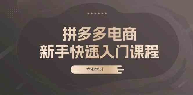 拼多多电商新手快速入门课程：涵盖基础、实战与选款，助力小白轻松上手-玩备项目资源网