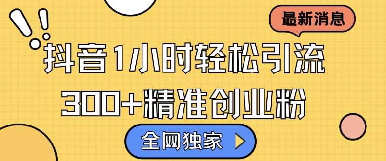 全网独家抖音引流，轻松日引300+精准创业粉【揭秘】-玩备项目资源网