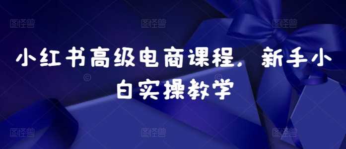 小红书高级电商课程，新手小白实操教学-玩备项目资源网