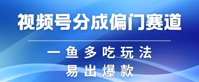 视频号创作者分成计划偏门类目，容易爆流，实拍内容简单易做【揭秘】-玩备项目资源网