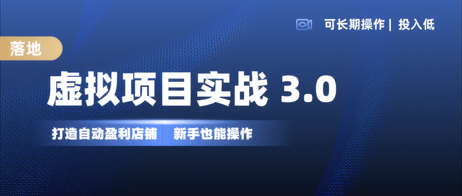 虚拟项目实操落地 3.0,新手轻松上手，单品月入1W+-玩备项目资源网