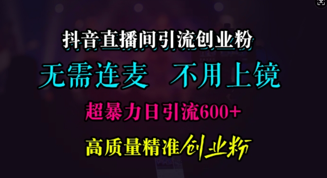 抖音直播间引流创业粉，无需连麦、无需上镜，超暴力日引流600+高质量精准创业粉【揭秘】-玩备项目资源网