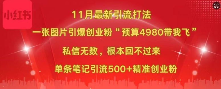 小红书11月最新图片打粉，一张图片引爆创业粉，“预算4980带我飞”，单条引流500+精准创业粉-玩备项目资源网