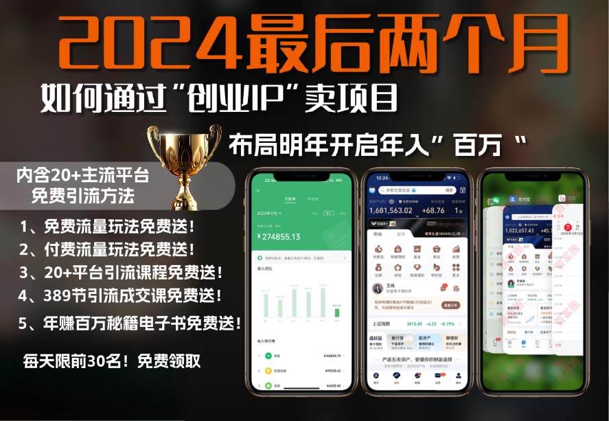 （13322期）2024最后两个月如何通过”创业IP“卖项目年入”百万“,创业IP+最强引流…-玩备项目资源网