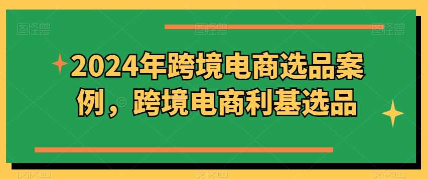 2024年跨境电商选品案例，跨境电商利基选品（更新11月）-玩备项目资源网