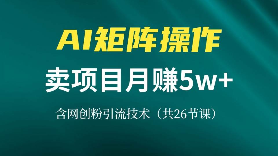 （13335期）网创IP打造课，借助AI卖项目月赚5万+，含引流技术（共26节课）-玩备项目资源网