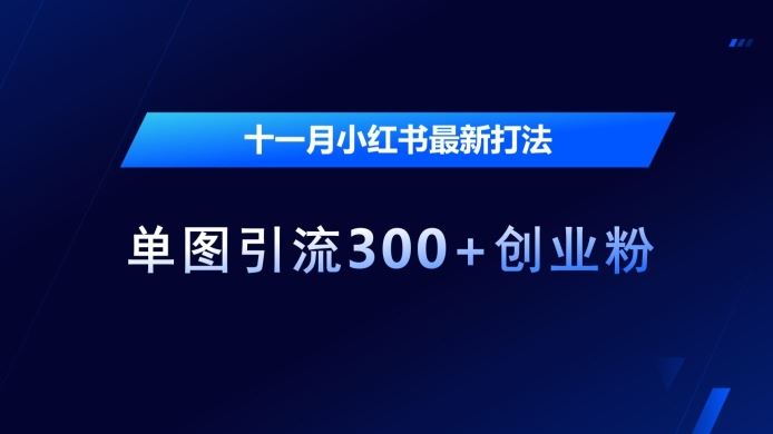 十一月小红书最新打法，单图引流300+创业粉【揭秘】-玩备项目资源网