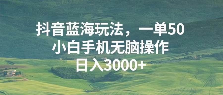 （13353期）抖音蓝海玩法，一单50，小白手机无脑操作，日入3000+-玩备项目资源网