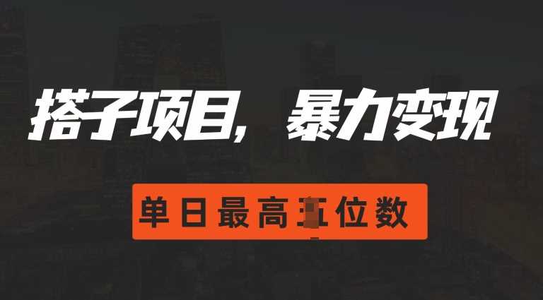 2024搭子玩法，0门槛，暴力变现，单日最高破四位数【揭秘】-玩备项目资源网
