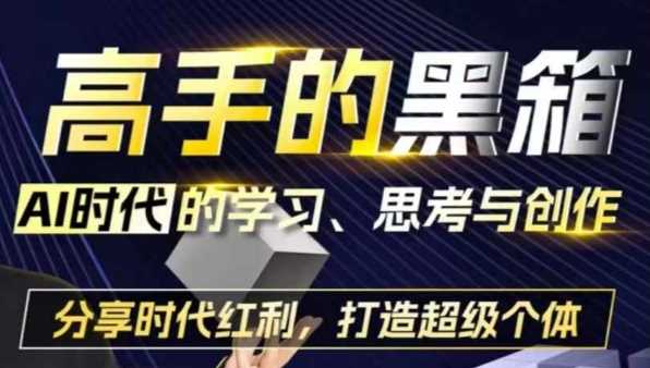 高手的黑箱：AI时代学习、思考与创作-分红时代红利，打造超级个体-玩备项目资源网