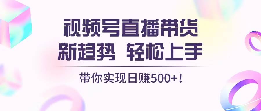 （13370期）视频号直播带货新趋势，轻松上手，带你实现日赚500+-玩备项目资源网