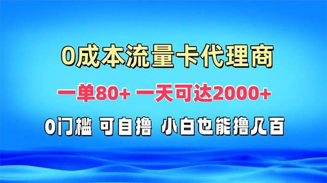 （13391期）免费流量卡代理一单80+ 一天可达2000+-玩备项目资源网