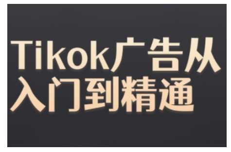 Tiktok Ads实操教程，Tiktok广告从入门到精通-玩备项目资源网