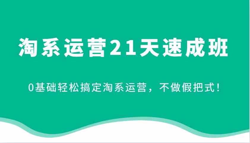 淘系运营21天速成班，0基础轻松搞定淘系运营，不做假把式！-玩备项目资源网