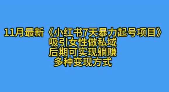 K总部落11月最新小红书7天暴力起号项目，吸引女性做私域【揭秘】-玩备项目资源网