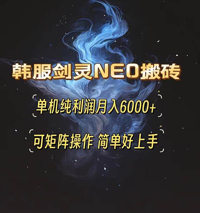 （13435期）韩服剑灵NEO搬砖攻略，单机纯利润月入6000+ 可矩阵操作，简单好上手。-玩备项目资源网